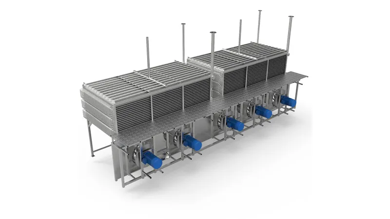 IQF Line Conveying